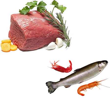 肉食品水產(chǎn)品烘干機、肉脯烘干設(shè)備、肉類烘干設(shè)備